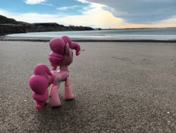 Size: 4000x3000 | Tagged: safe, artist:dingopatagonico, imported from derpibooru, pinkie pie, earth pony, beach, photo, solo, toy