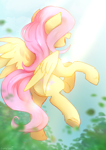 Size: 2480x3508 | Tagged: safe, artist:sinrinf, imported from derpibooru, fluttershy, pegasus, pony, :d, blue sky, day, female, flying, full body, hoof fluff, mare, open mouth, open smile, outdoors, signature, smiling, solo, spread wings, sunlight, underhoof, wings