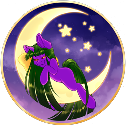 Size: 3000x3000 | Tagged: safe, artist:dewdropinn, imported from derpibooru, oc, oc only, oc:star, commission, crescent moon, moon, night, night sky, sky, sleeping, stars, ych result