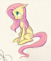 Size: 1720x2048 | Tagged: safe, artist:pollovy, imported from derpibooru, fluttershy, pegasus, pony, closed mouth, colored sketch, cream background, cute, female, folded wings, full body, long tail, looking forward, mare, mixed media, no pupils, simple background, sitting, sketch, smiling, solo, tail, teal eyes, three quarter view, wings