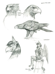 Size: 1011x1350 | Tagged: safe, artist:baron engel, imported from derpibooru, oc, oc only, oc:dominique, anthro, bird, eagle, griffon, anthro oc, griffon oc