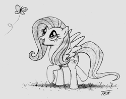 Size: 627x495 | Tagged: safe, artist:stingray-24, imported from derpibooru, fluttershy, butterfly, pegasus, pony, female, grass, looking at someone, mare, monochrome, open mouth, outdoors, pencil drawing, signature, solo focus, spread wings, traditional art, walking, wings