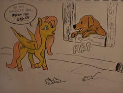 Size: 2048x1538 | Tagged: safe, artist:pasu-chan, imported from derpibooru, fluttershy, dog, mouse, pegasus, pony, dialogue, duo, female, mare, marker drawing, open mouth, pet oc, speech bubble, traditional art