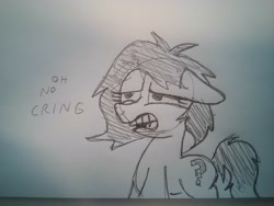 Size: 4160x3120 | Tagged: safe, artist:dhm, imported from derpibooru, oc, oc:filly anon, earth pony, pony, condescending, cringing, disgusted, female, filly, foal, funny, insult, lined paper, lol, meme, monochrome, oh no, pencil drawing, reaction image, sketch, slur, solo, swearing, text, traditional art, vulgar