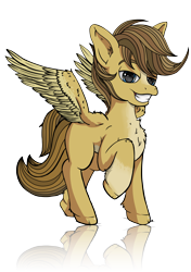 Size: 3541x5016 | Tagged: safe, artist:playful wings, imported from derpibooru, oc, oc only, oc:buttercup, pegasus, pony, chest fluff, male, raised hoof, reflection, simple background, smug, solo, spread wings, transparent background, wings