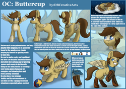 Size: 5011x3541 | Tagged: safe, artist:playful wings, imported from derpibooru, oc, oc only, oc:buttercup, pegasus, pony, ball, butt, colored wings, folded wings, male, plot, raised hoof, raised leg, reference sheet, sleeping, solo, spread wings, stallion, two toned wings, underhoof, wings