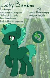 Size: 1284x1992 | Tagged: safe, artist:edgelordhedgelord, imported from derpibooru, oc, oc only, oc:lucky bamboo, pony, unicorn, horn, male, solo, stallion