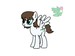 Size: 960x720 | Tagged: safe, artist:lonstecation, imported from derpibooru, oc, oc only, oc:bee grimes, cockatrice, pegasus, pony, female, mare, png, simple background, solo, standing, transparent background