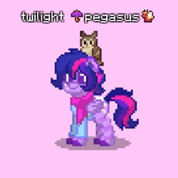 Size: 767x767 | Tagged: safe, imported from derpibooru, owlowiscious, twilight sparkle, bird, owl, pegasus, pony, pony town, accessory, clothes, duo, pink background, simple background, species swap