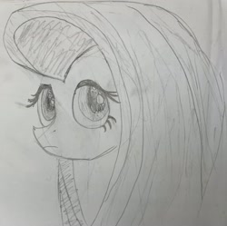 Size: 2960x2951 | Tagged: safe, artist:1611volk, imported from derpibooru, fluttershy, pony, bust, female, lineart, mare, pencil drawing, sketch, traditional art