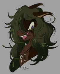 Size: 1595x1973 | Tagged: safe, artist:smthlittle, imported from derpibooru, oc, oc only, oc:floral fern, earth pony, branches, leaves, simple background, solo