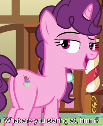 Size: 590x720 | Tagged: safe, edit, edited screencap, editor:jaredking779, imported from derpibooru, screencap, sugar belle, pony, unicorn, season 8, spoiler:s08, butt, caption, cropped, female, horn, indoors, looking at you, looking back, looking back at you, mare, my little pony, open mouth, open smile, plot, smiling, solo, sugar butt, sugarcube corner, sugarcube corner (interior), text