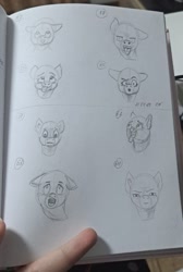Size: 860x1280 | Tagged: safe, artist:palettenight, imported from derpibooru, alicorn, earth pony, pegasus, pony, unicorn, anime, bust, emotions, horn, pencil, pencil drawing, portrait, sketch, solo, traditional art