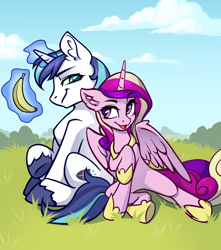 Size: 4000x4530 | Tagged: safe, artist:inowiseei, artist:lummh, imported from derpibooru, princess cadance, shining armor, alicorn, pony, unicorn, comic:the princess of love, absurd resolution, banana, belly, duo, duo male and female, ear fluff, female, food, glowing, glowing horn, grass, hoof shoes, horn, levitation, looking at each other, looking at someone, magic, male, mare, open mouth, open smile, outdoors, partially open wings, physique difference, shiningcadance, shipping, sitting, sky, slender, smiling, smiling at each other, smirk, stallion, straight, style test, telekinesis, the princess of love test art, thin, unshorn fetlocks, wings
