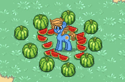 Size: 1493x981 | Tagged: safe, imported from derpibooru, oc, oc only, oc:blue cookie, earth pony, pony, pony town, digital art, earth pony oc, food, grass, male, outdoors, pixel art, smiling, solo, stallion, watermelon, watermelon slice