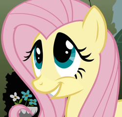 Size: 750x720 | Tagged: safe, imported from derpibooru, screencap, fluttershy, pegasus, pony, the return of harmony, bust, cropped, female, flower, looking up, mare, my little pony, smiling, solo, teeth