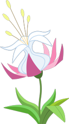 Size: 2911x5215 | Tagged: safe, imported from derpibooru, the cutie pox, .svg available, flower, my little pony, my little pony: cutie pox, no pony, official, plant, playdate digital, seeds of truth, simple background, svg, transparent background, truth blossom, vector