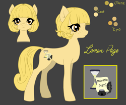 Size: 1229x1024 | Tagged: safe, artist:minecake, imported from derpibooru, oc, oc only, oc:lemon page, earth pony, pony, my little pony tales, cutie mark, earth pony oc, fanfic art, female, g1, reference sheet, solo, teenager