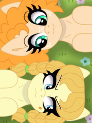 Size: 4501x6000 | Tagged: safe, artist:liv-and-b-merry, imported from derpibooru, aunt orange, pear butter, pony, abs, absurd resolution, younger