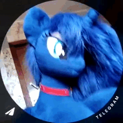 Size: 384x384 | Tagged: safe, artist:egogosha125, imported from derpibooru, princess luna, original species, plush pony, pony, dancing, music, music video, plushie, pony dance, video