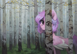 Size: 2538x1800 | Tagged: safe, artist:koviry, imported from derpibooru, oc, oc only, pegasus, pony, birch tree, commission, forest, high res, looking at you, nature, outdoors, solo, tree, ych result