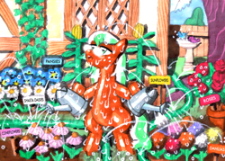 Size: 1050x750 | Tagged: safe, artist:mod wit, imported from derpibooru, oc, oc only, oc:sweetgrass, bird, earth pony, askbananaswit, bird bath, coneflowers, dahlias, dasies, fence, flower, garden, gardening, grass, hose, house, pansies, rose, solo, sunflower, sunny day, traditional art, watering, watering can, wet