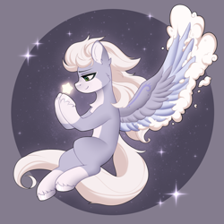 Size: 1600x1600 | Tagged: safe, artist:alunedoodle, imported from derpibooru, oc, oc only, oc:silver flash cloudwing, pegasus, pony, bust, female, full body, pegasus oc, portrait, smiling, stars, two toned coat, unshorn fetlocks, wings
