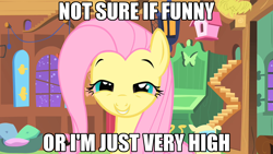 Size: 1280x720 | Tagged: safe, edit, edited screencap, imported from derpibooru, screencap, fluttershy, pegasus, pony, stare master, caption, eyelashes, female, high, image macro, indoors, mare, my little pony, pink hair, stairs, teeth, text