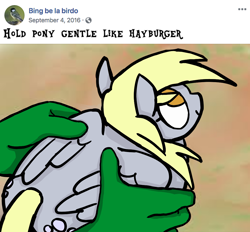 Size: 1080x1003 | Tagged: artist needed, safe, imported from derpibooru, derpy hooves, human, pegasus, pony, duo, duo male and female, female, folded wings, hand, holding, holding a pony, human male, male, mare, meme, smiling, wings