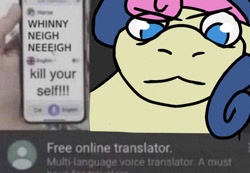 Size: 612x423 | Tagged: safe, artist:starbounce, bon bon, sweetie drops, pony, angry, bon bon is not amused, cellphone, female, g4, hand, irl, kill yourself, looking at you, mare, meme, phone, photo, ponified, ponified meme, rule 85, smartphone, solo, translator, unamused