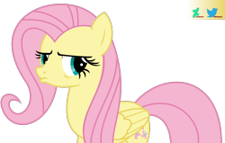 Size: 1900x1210 | Tagged: safe, artist:kuren247, imported from derpibooru, fluttershy, pegasus, pony, cute, halfbody, looking back, pouting, pouty lips, pursed lips, simple background, solo, transparent background, vector